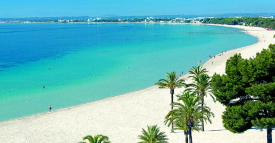 Ferrer Alcudia (Mallorca)